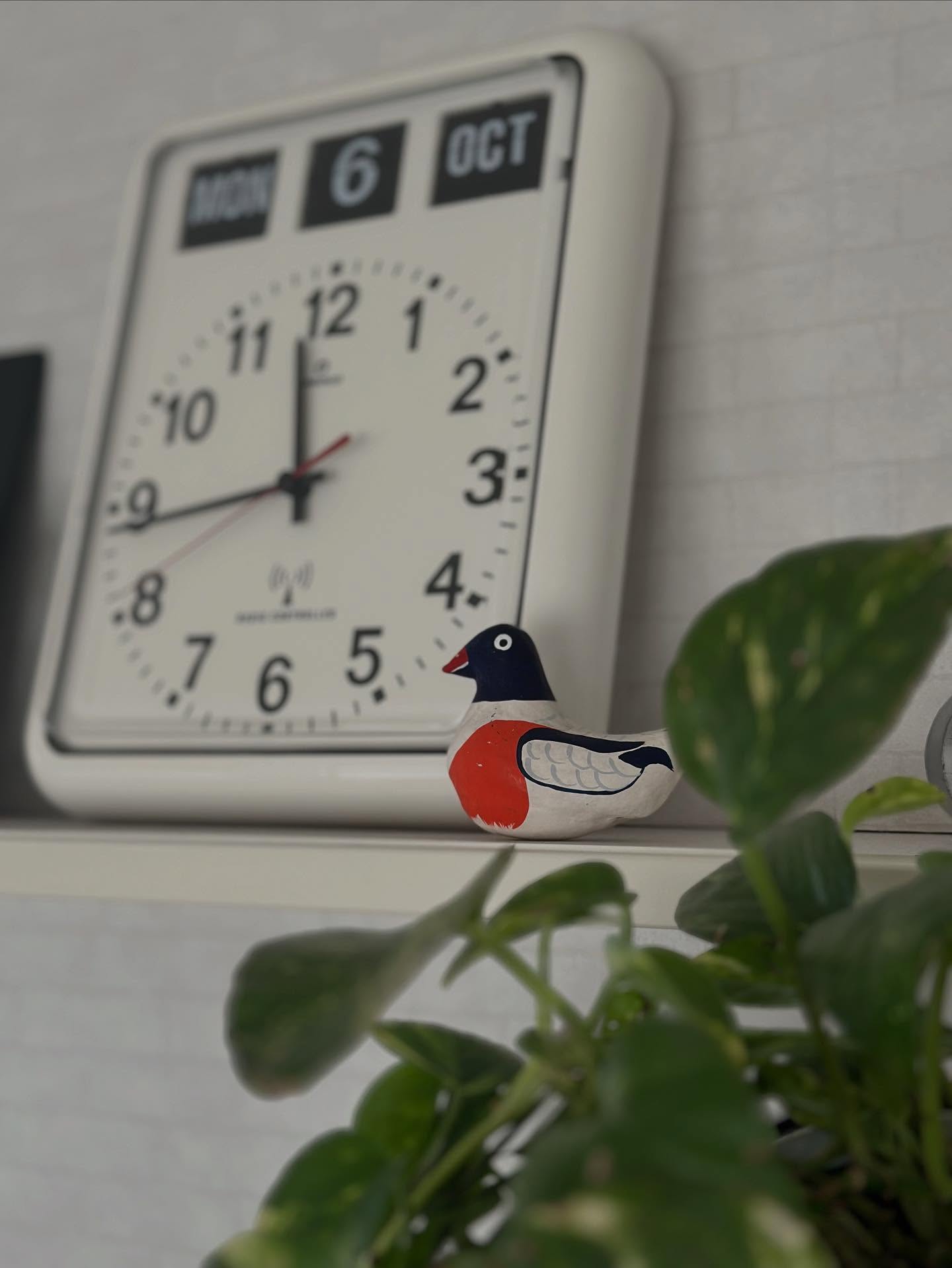 はじめまして。郷土玩具を中心にヘンテコを愛でて暮らす人です。
今日から、日本各地の“ちょっとヘンテコで、
なんか愛しい”玩具たちを紹介していきます。どうぞ、よろしくお願いします。Nice to meet you.He is a person who loves to live with local toys.
From today, "a little weird" from all over Japan,
I will introduce some "lovely" toys.Please take care of me.#郷土玩具 #ヘンテコ #モダンアート
#folkcraft #folktoys #japanesecraf