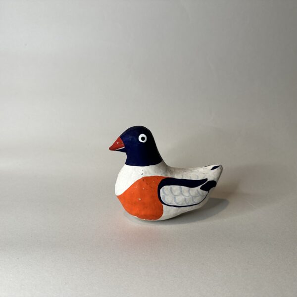 A duck with big, round eyes