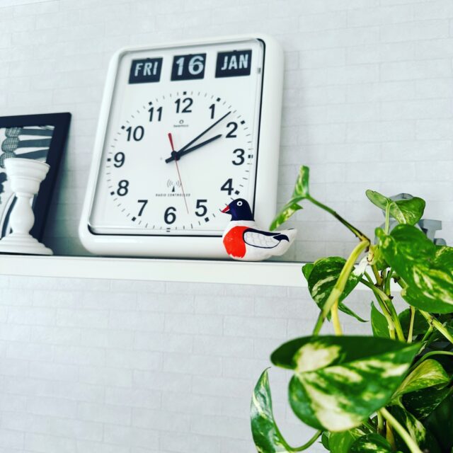 つぶらな瞳のカモです。
日本の諺に「目は口ほどに物を言う」というのがありますがカモは違うみたいです。A duck with big, round eyes.
There's a Japanese proverb that says, "The eyes speak as much as the mouth," but ducks seem to be different.#郷土玩具 #モダンアート #カモ
#folkcraft #folktoys #japanesecraf
#Vintage_Crafted_Folk_Toys